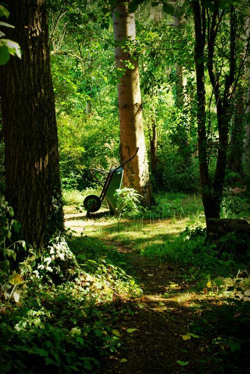 Chez Fifine Βίλα Mont-Saint-Eloi Εξωτερικό φωτογραφία